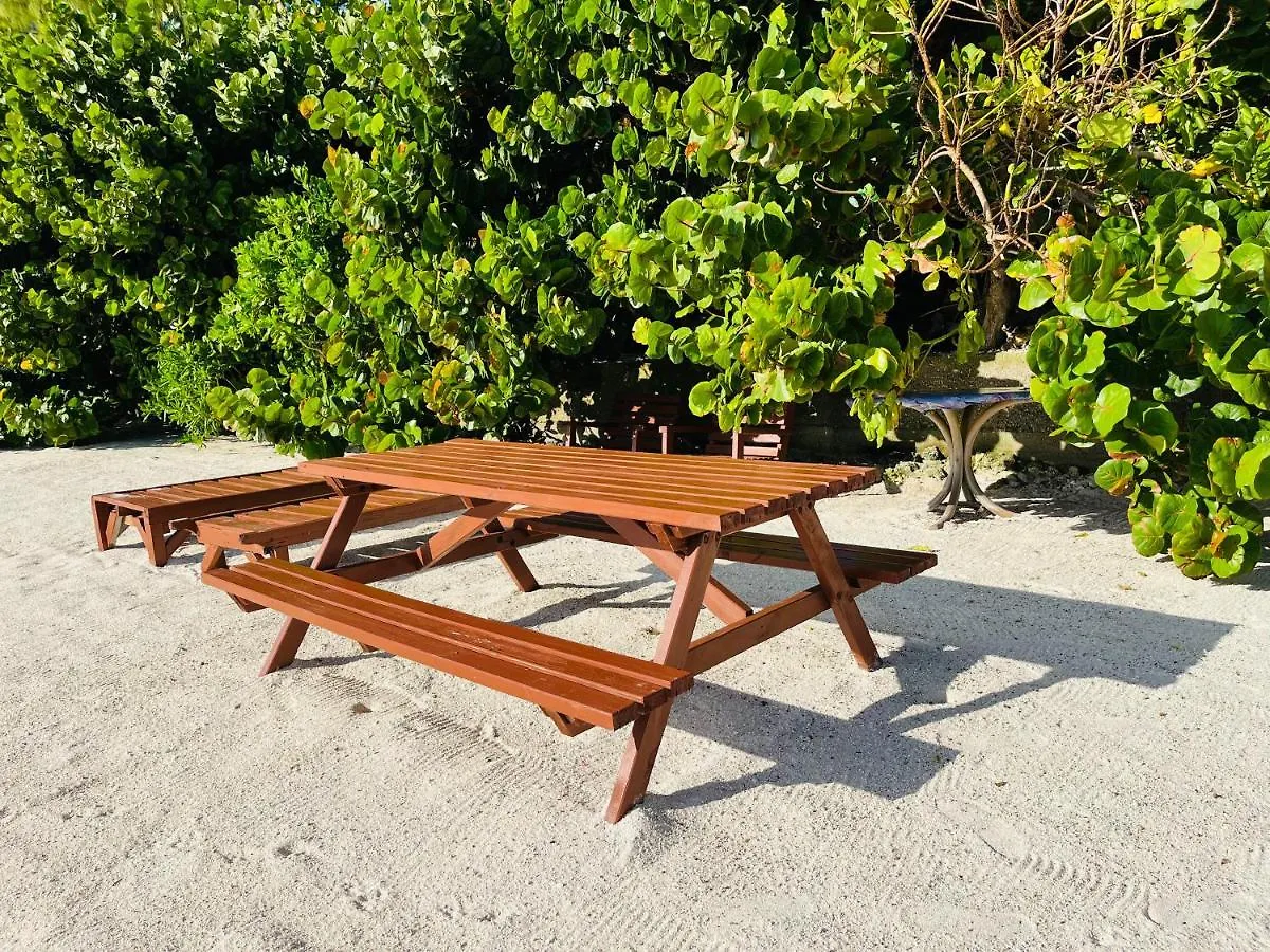 Moorea Temae Bungalow Lory Bord De Mer