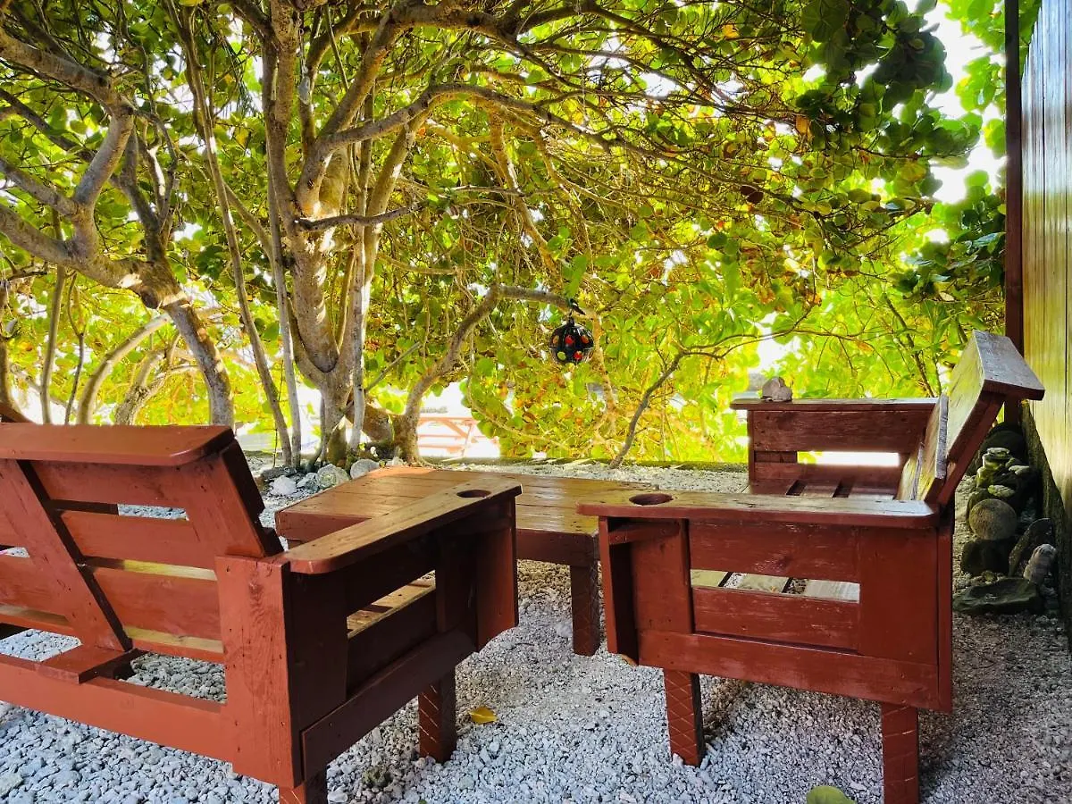 Moorea Temae Bungalow Lory Bord De Mer Γαλλική Πολυνησία